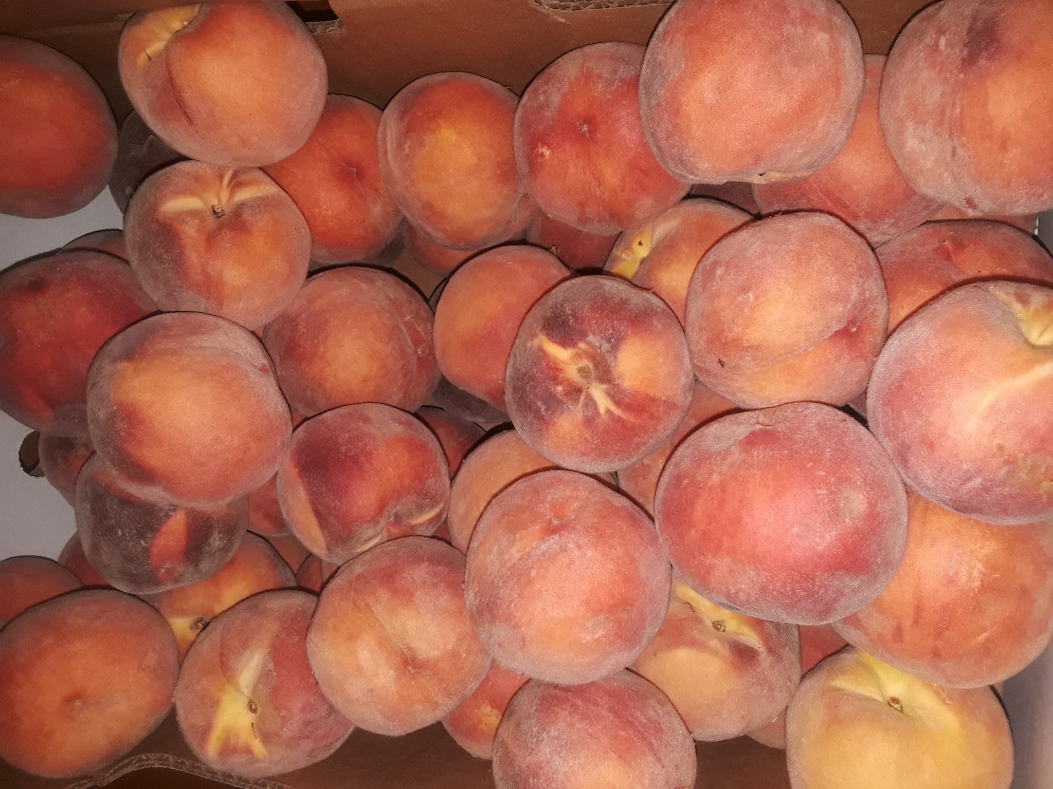 20180812_074241 (002)