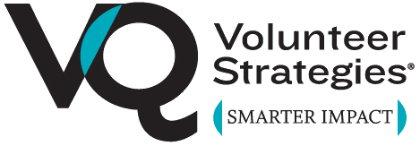 VQ Strategies Logo